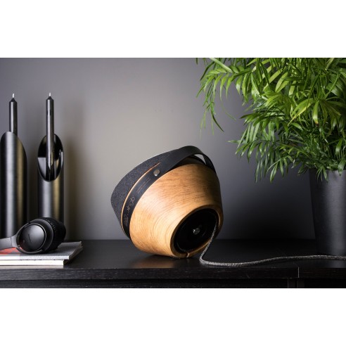 PROJECTEUR_16 CHÊNE BRÛLÉ PROJECTEUR_16 CHÊNE BRÛLÉ